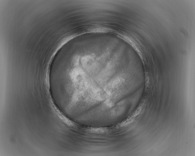 X0000112010843200908241453