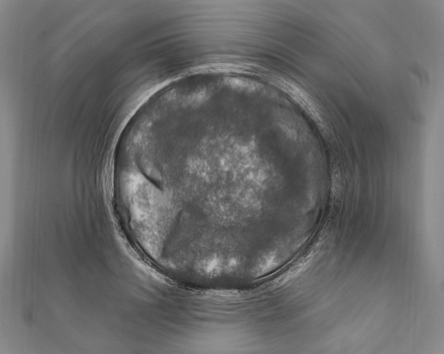 X0000112010844200908241453