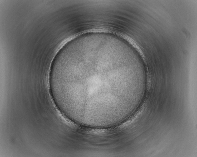 X0000112010845200908241453