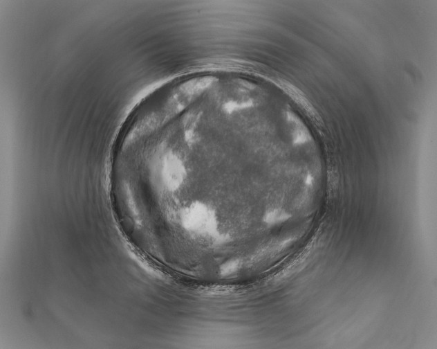 X0000112010846200908241453