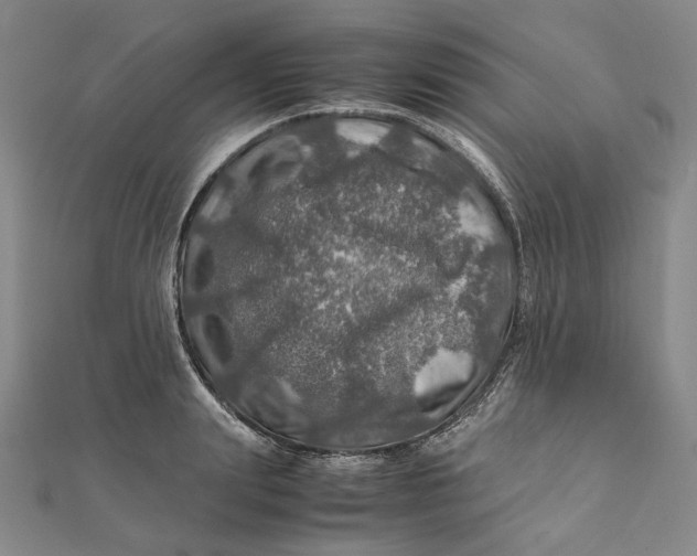 X0000112010847200908241453