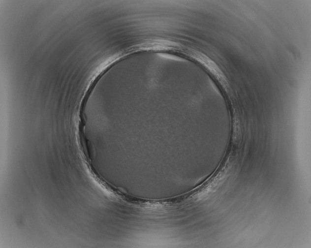 X0000112010850200908241453