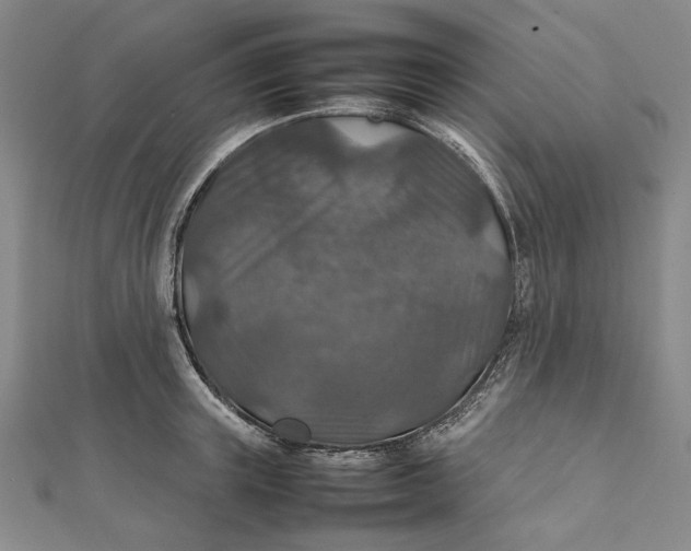 X0000112010851200908241453