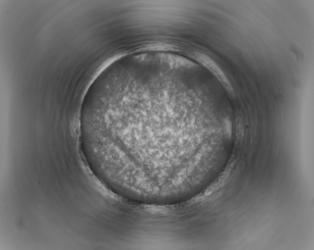 X0000112010852200908241453