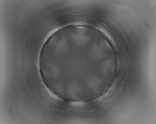 X0000112010853200908241453