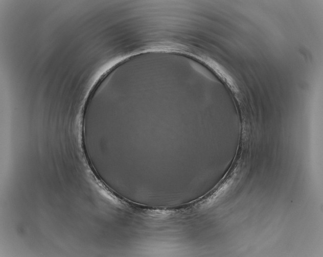 X0000112010854200908241453