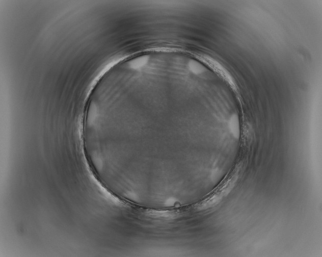 X0000112010855200908241453