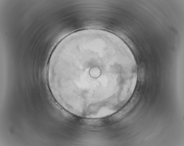 X0000112010856200908241453