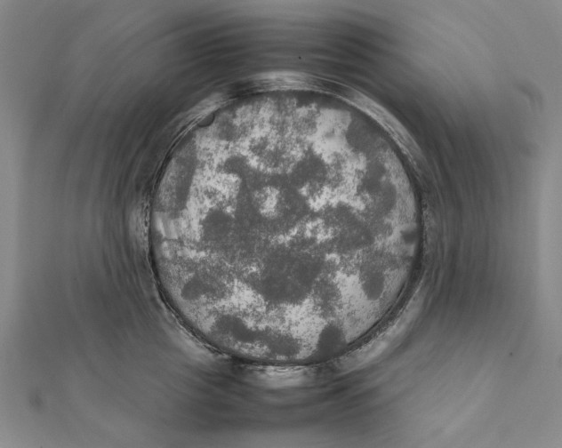 X0000112010857200908241453