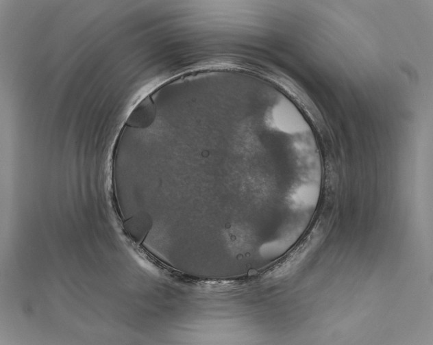 X0000112010858200908241453