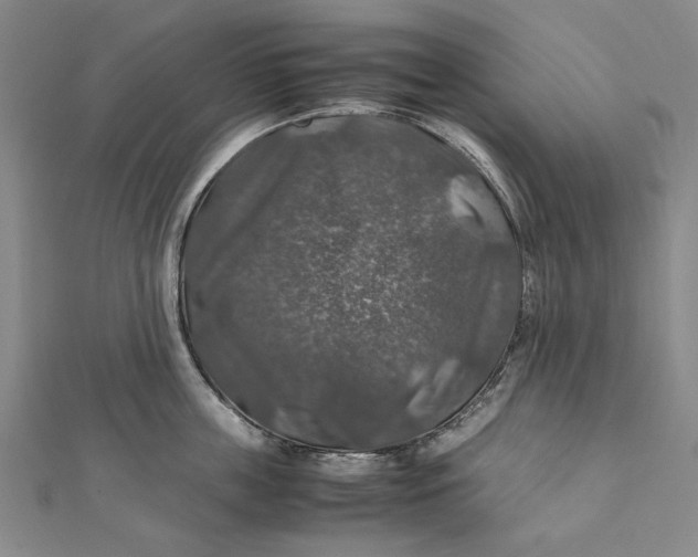 X0000112010859200908241453