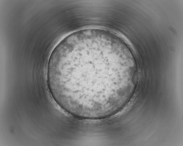 X0000112010860200908241453