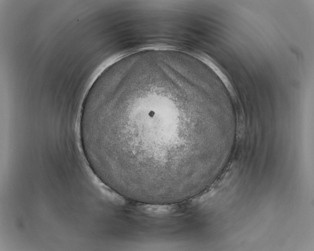 X0000112010861200908241453