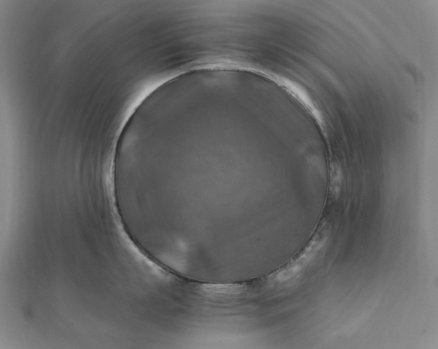 X0000112010863200908241453