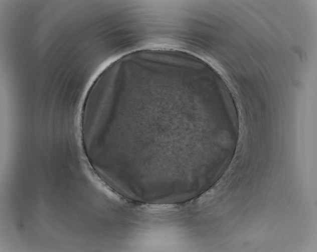 X0000112010864200908241453