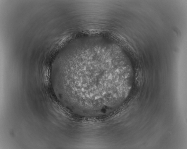 X0000112010866200908241453