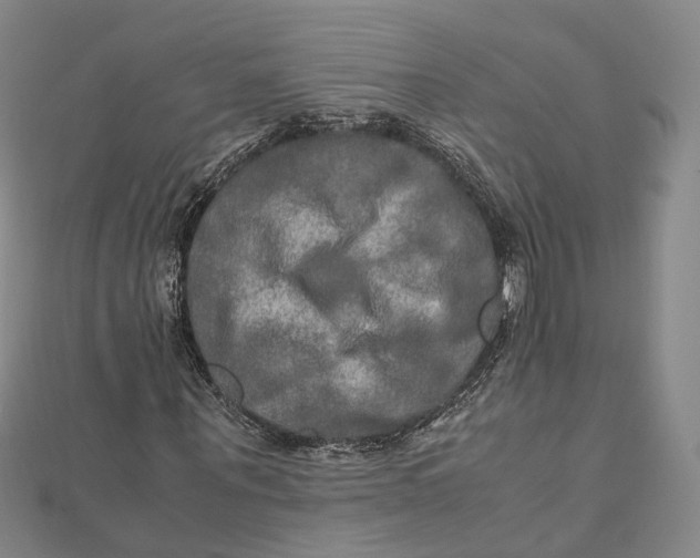 X0000112010867200908241453