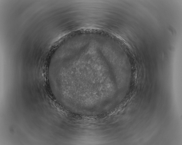 X0000112010870200908241453