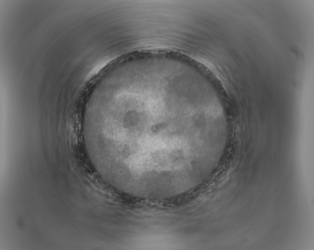 X0000112010871200908241453