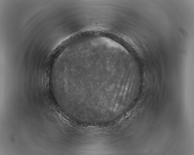 X0000112010872200908241453