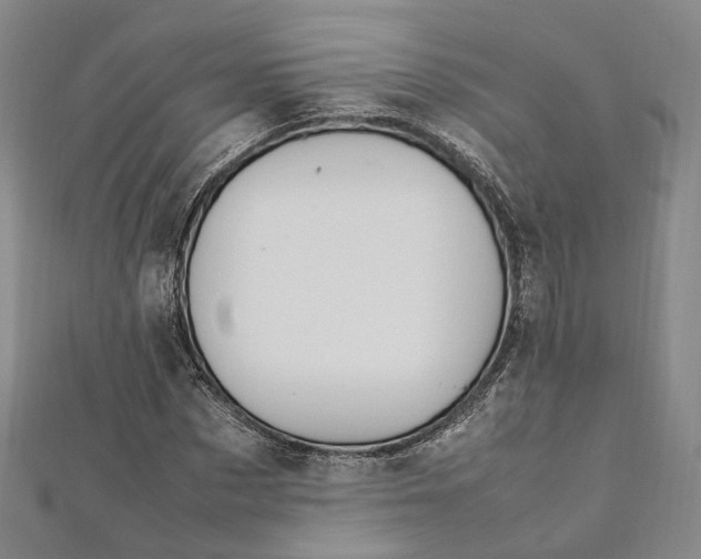 X0000112010873200908241453