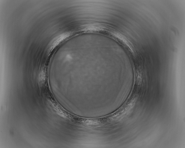 X0000112010874200908241453