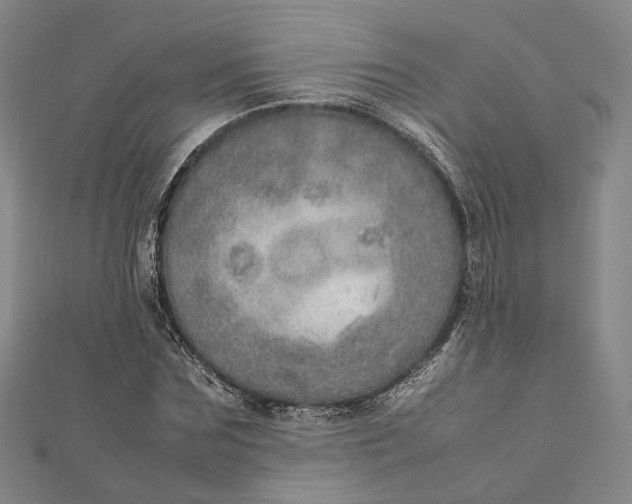 X0000112010875200908241452