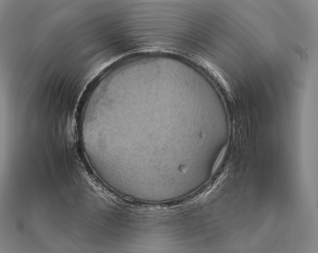 X0000112010876200908241452