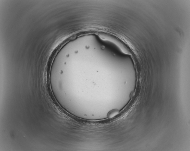 X0000112010877200908241452