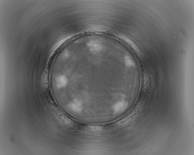 X0000112010878200908241452