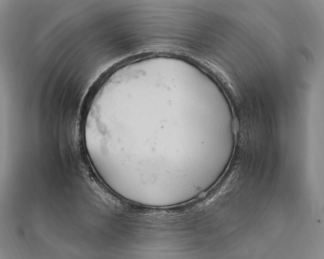 X0000112010880200908241452