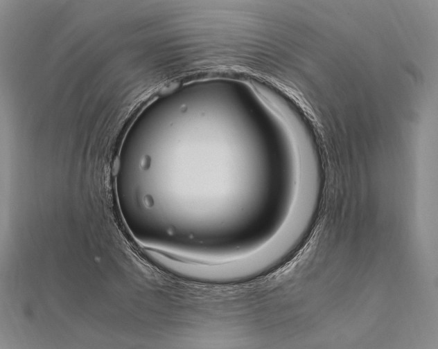 X0000112010881200908241452