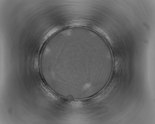 X0000112010882200908241452