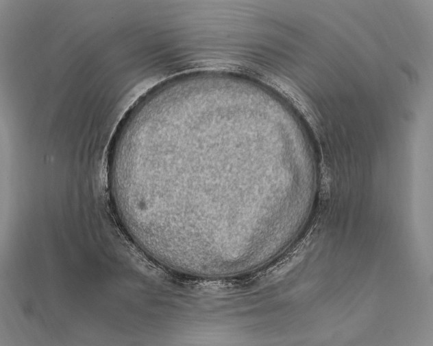 X0000112010883200908241452