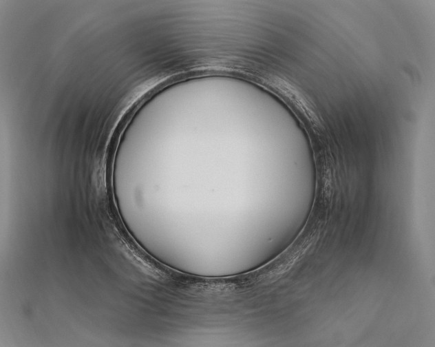 X0000112010884200908241452