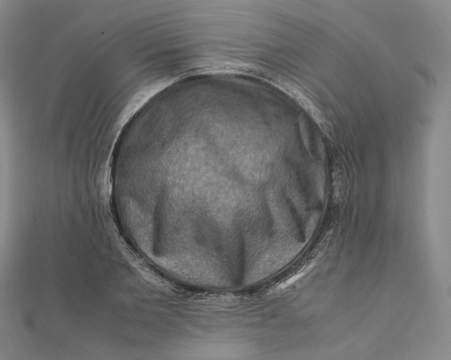 X0000112010885200908241452