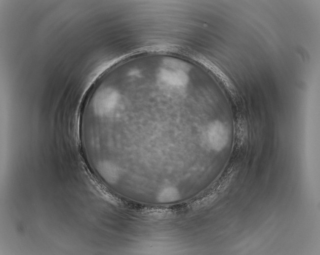 X0000112010886200908241452