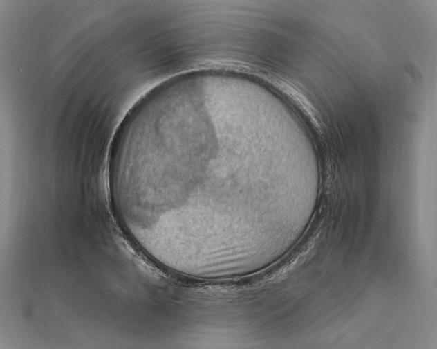 X0000112010888200908241452