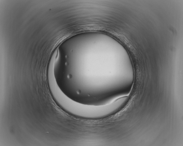 X0000112010889200908241452