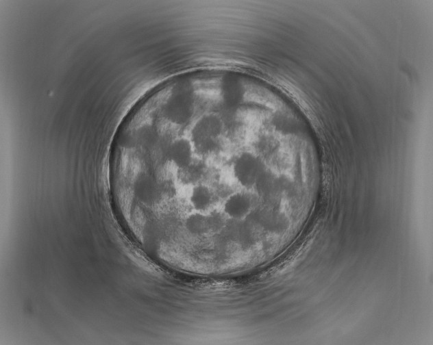 X0000112010891200908241452