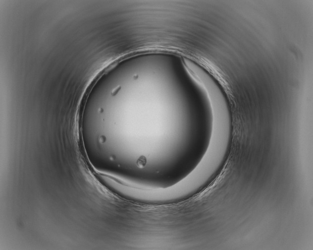 X0000112010892200908241452