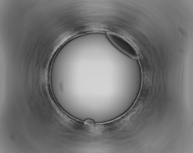 X0000112010893200908241452