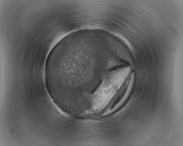 X0000112010894200908241452