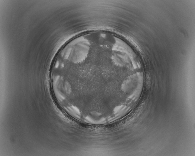 X0000112010895200908241452