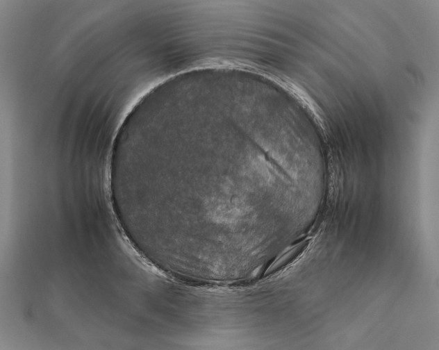 X0000112010896200908241452