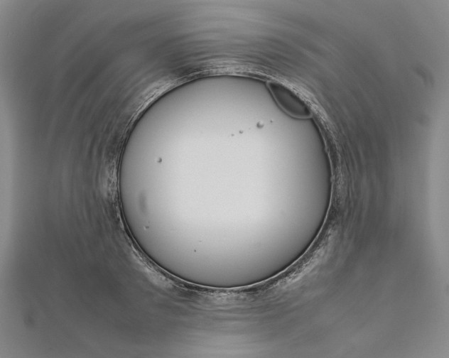 X0000112010897200908241452