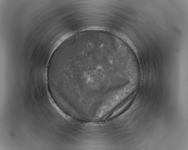 X0000112010898200908241452