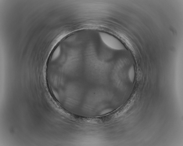 X0000112010899200908241452