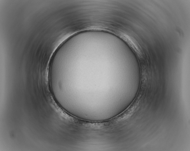 X0000112010900200908241452