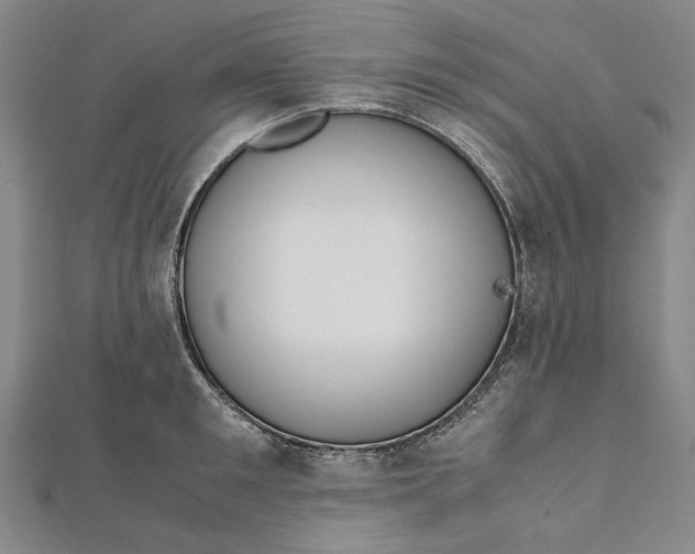 X0000112010901200908241452